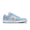 Womens Jordan 1 Low Shoe