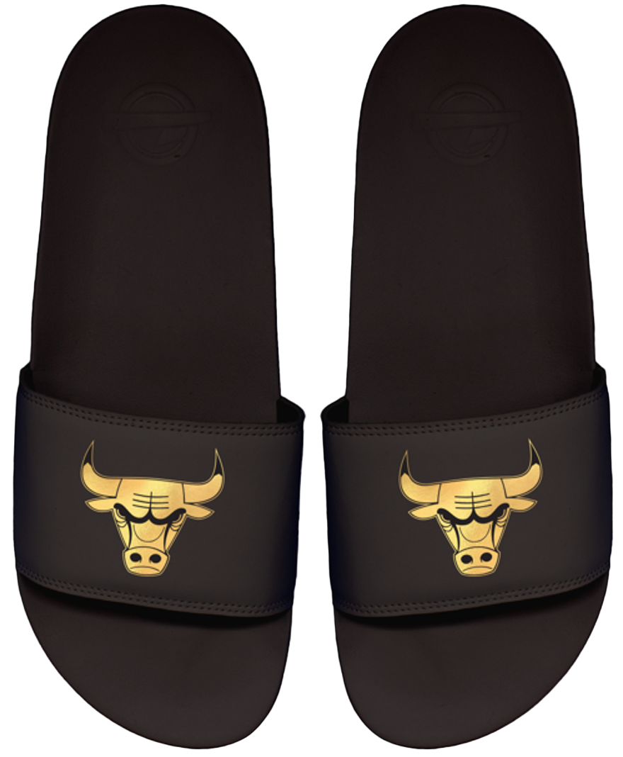 Chicago Bulls Motto Slide