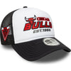 Chicago Bulls Graphic 9Forty Trucker Cap