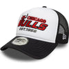 Chicago Bulls Graphic 9Forty Trucker Cap