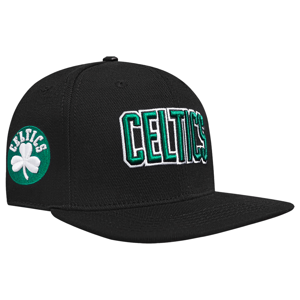 Mens Boston Celtics Wingspan Snapback Cap