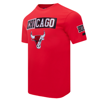 Mens Chicago Bulls Split Logo T-Shirt