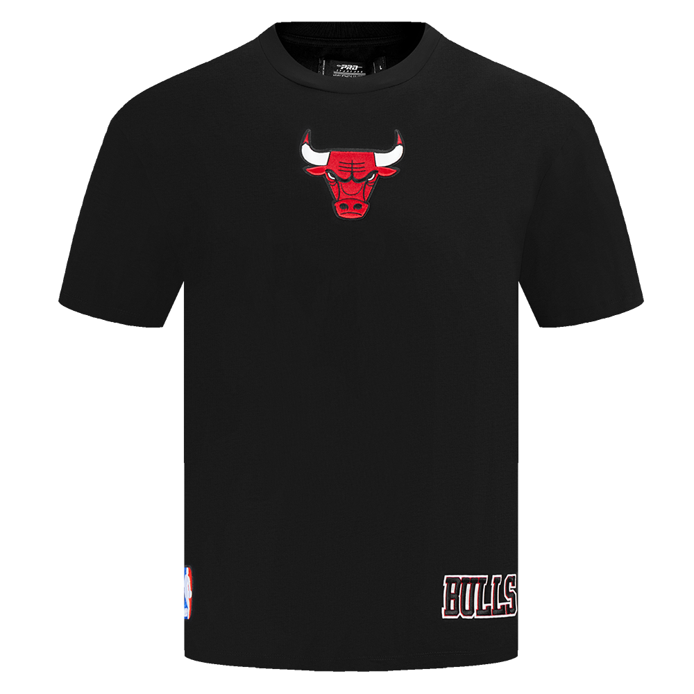 Mens Chicago Bulls Wingspan T-Shirt