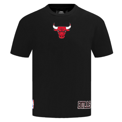 Mens Chicago Bulls Wingspan T-Shirt