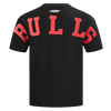 Mens Chicago Bulls Wingspan T-Shirt