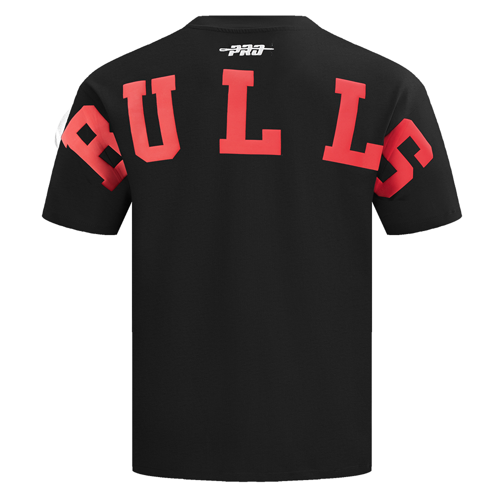 Mens Chicago Bulls Wingspan T-Shirt