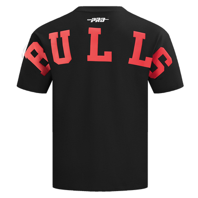 Mens Chicago Bulls Wingspan T-Shirt