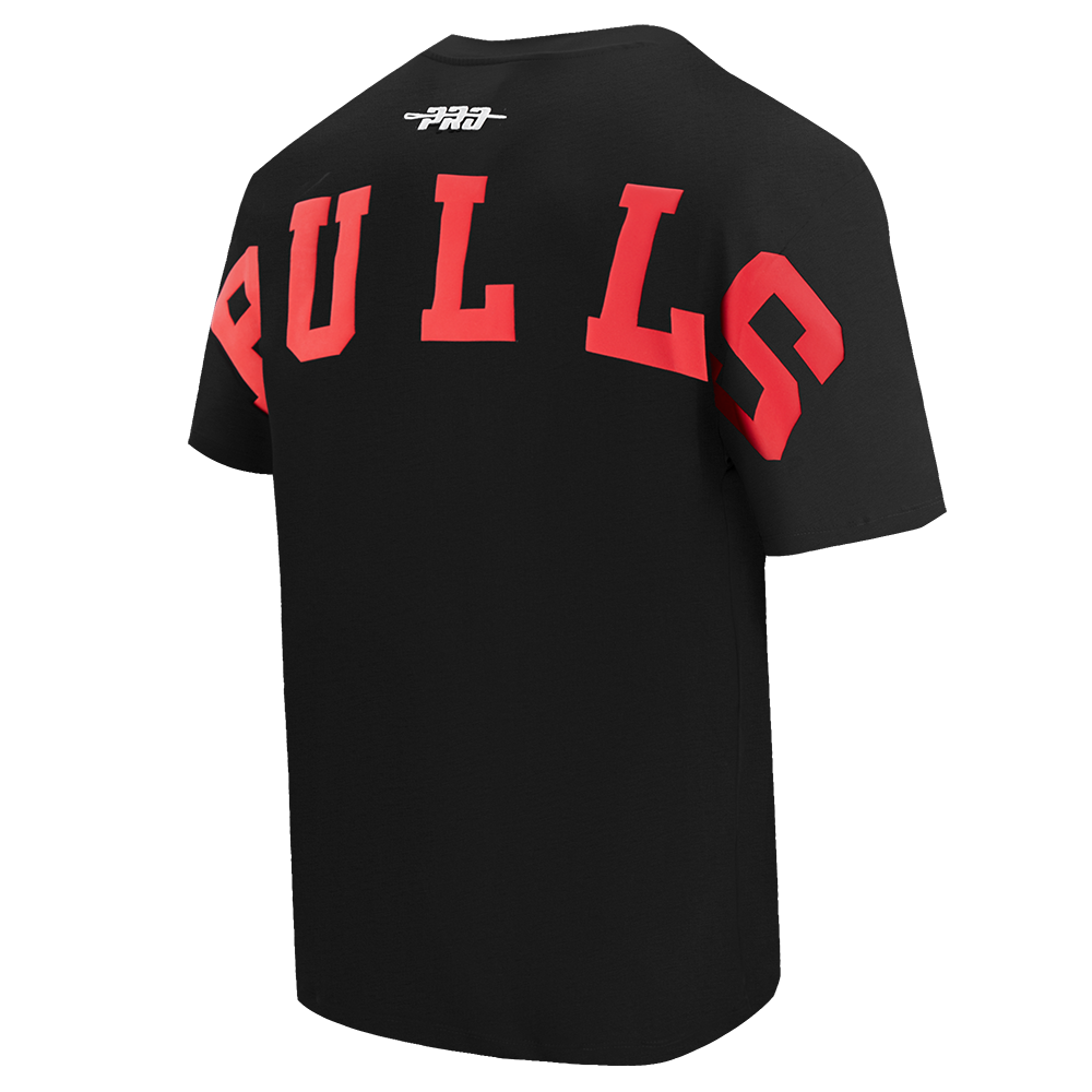 Mens Chicago Bulls Wingspan T-Shirt