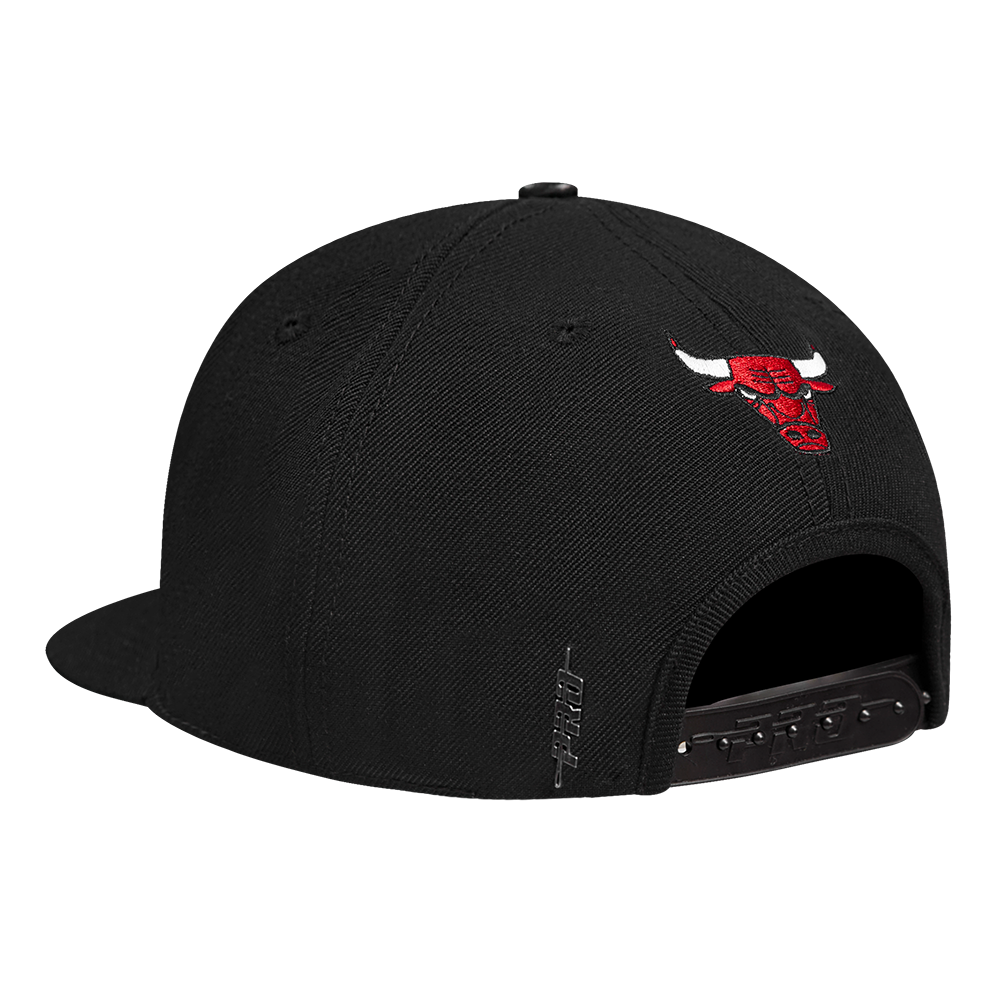 Mens Chicago Bulls Wingspan Snapback Cap