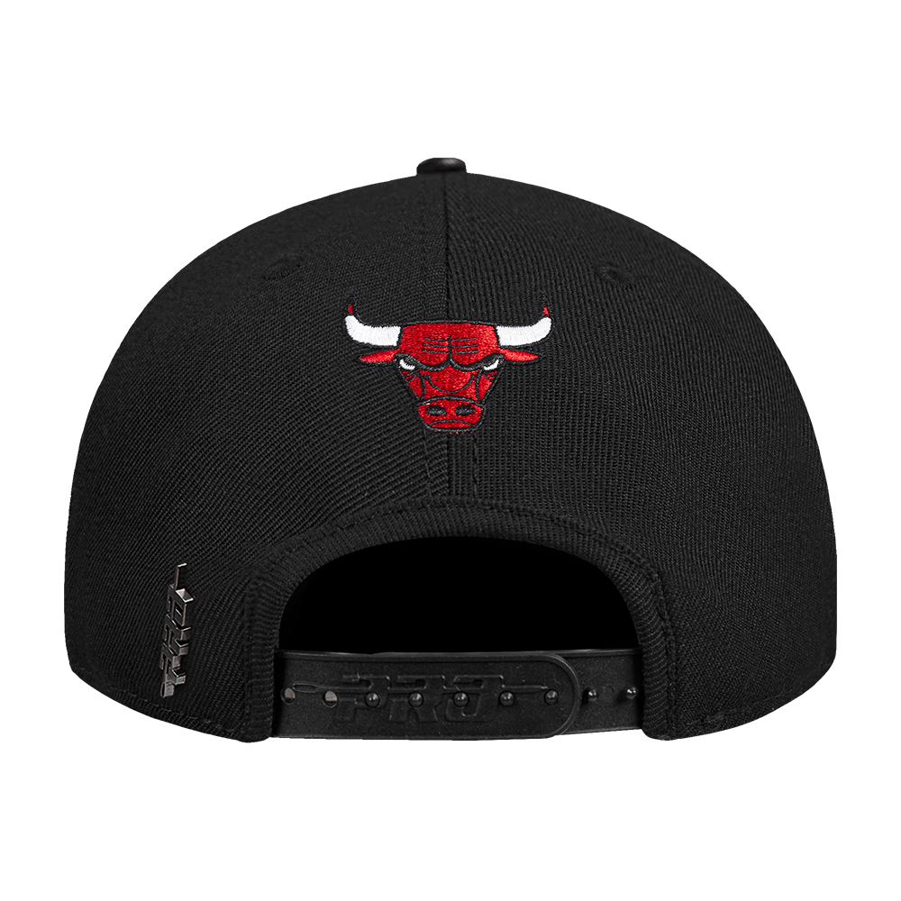 Mens Chicago Bulls Wingspan Snapback Cap