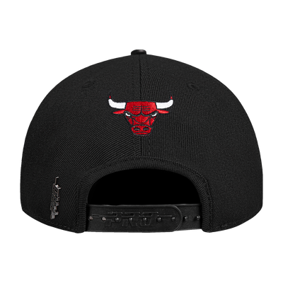 Mens Chicago Bulls Wingspan Snapback Cap