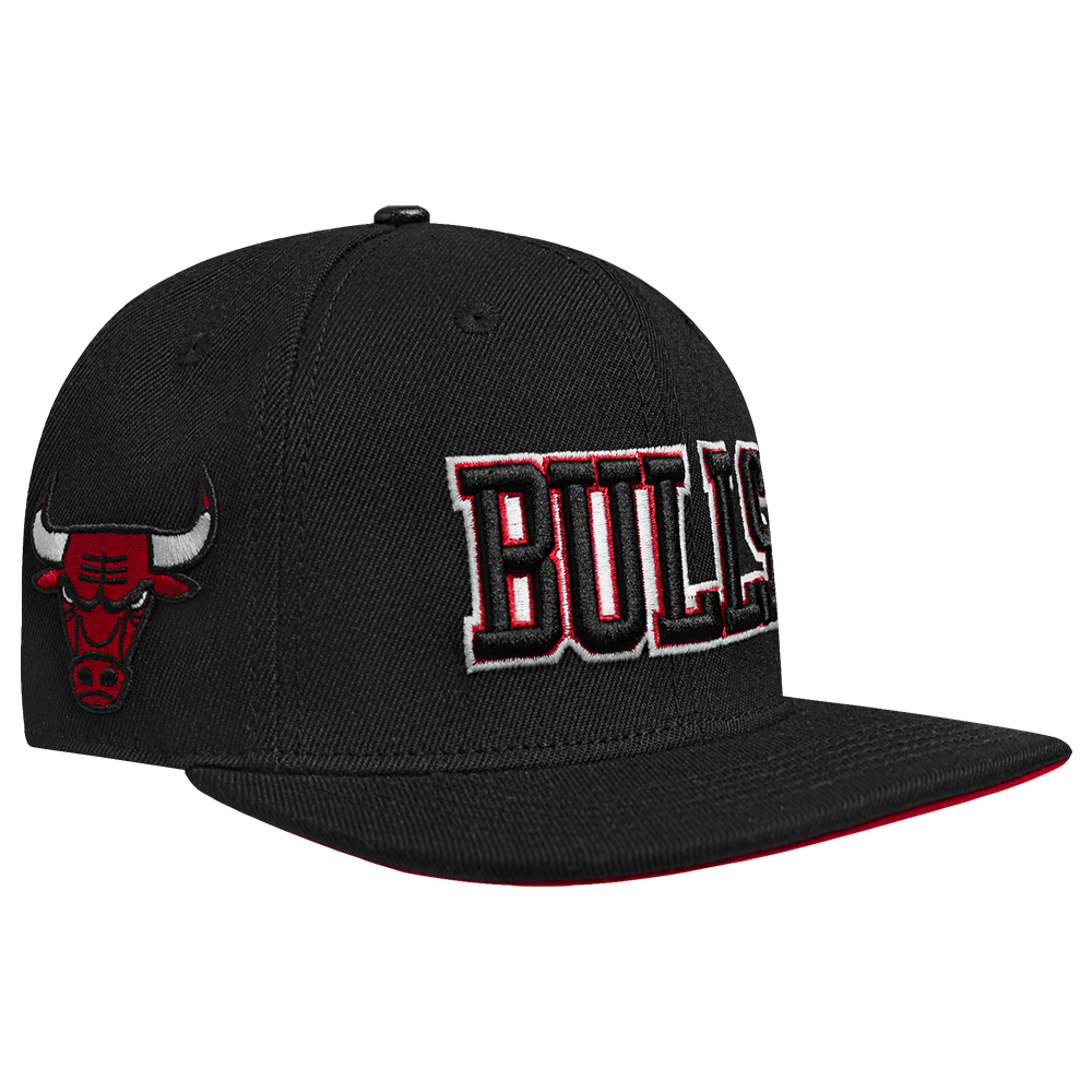 Mens Chicago Bulls Wingspan Snapback Cap