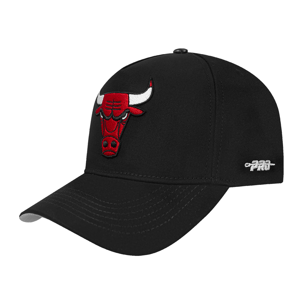 Mens Chicago Bulls Classic Logo Snapback Cap