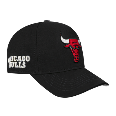 Mens Chicago Bulls Classic Logo Snapback Cap