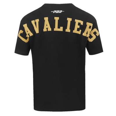 Mens Cleveland Cavaliers Wingspan T-Shirt