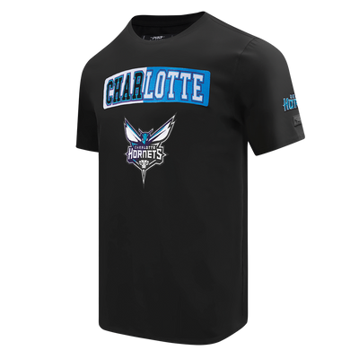 Mens Charlotte Hornets Split Logo T-Shirt