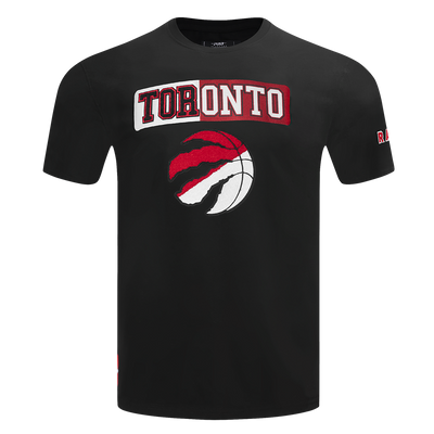 Mens Toronto Raptors Split Logo T-Shirt