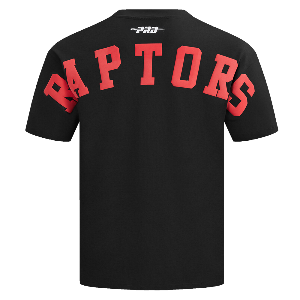 Mens Toronto Raptors Wingspan T-Shirt