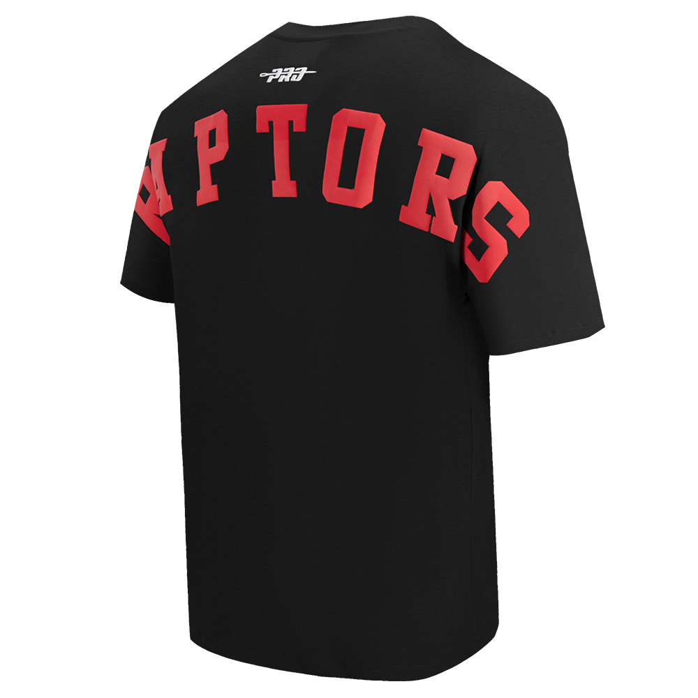 Mens Toronto Raptors Wingspan T-Shirt