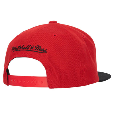 Chicago Bulls NBA 2 Tone 2.0 Snapback Cap