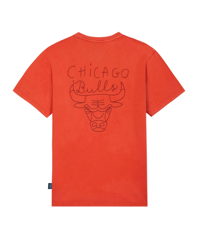 Mens Chicago Bulls Le Patureau T-Shirt