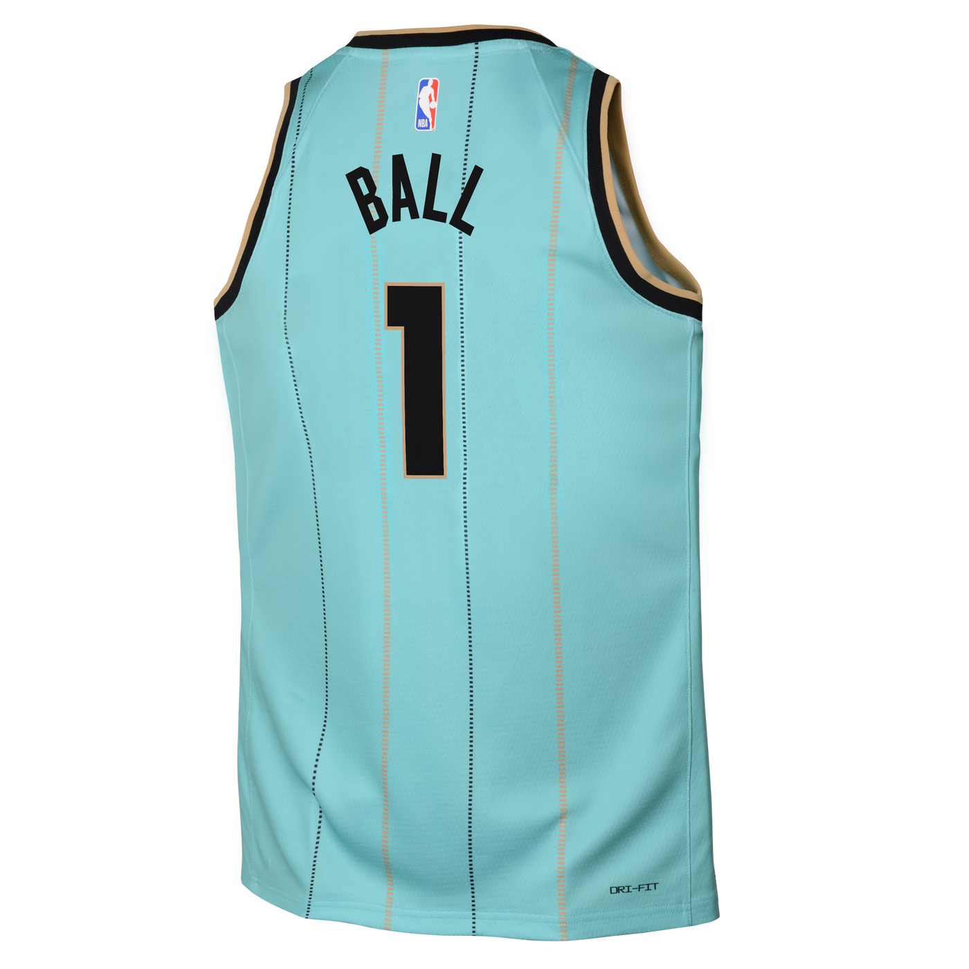 Boys Charlotte Hornets Lamelo Ball CE 24 Jersey