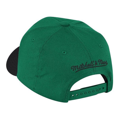 Boston Celtics Team 2 Tone Stretch Snapback Cap