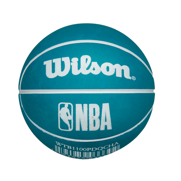 Charlotte Hornets NBA Dribbler Bouncy Ball