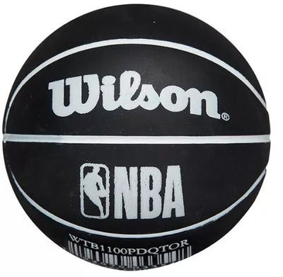 Toronto Raptors Mini Dribbler Ball