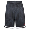 Junior Jordan Essentials Graphic Knit Short