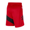 Mens Toronto Raptors Icon Swingman Shorts