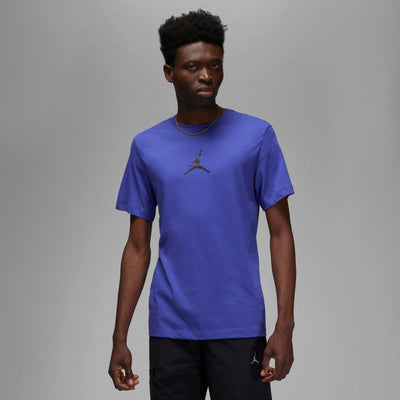 Mens Dri-Fit Jumpman Short Sleeve T-Shirt