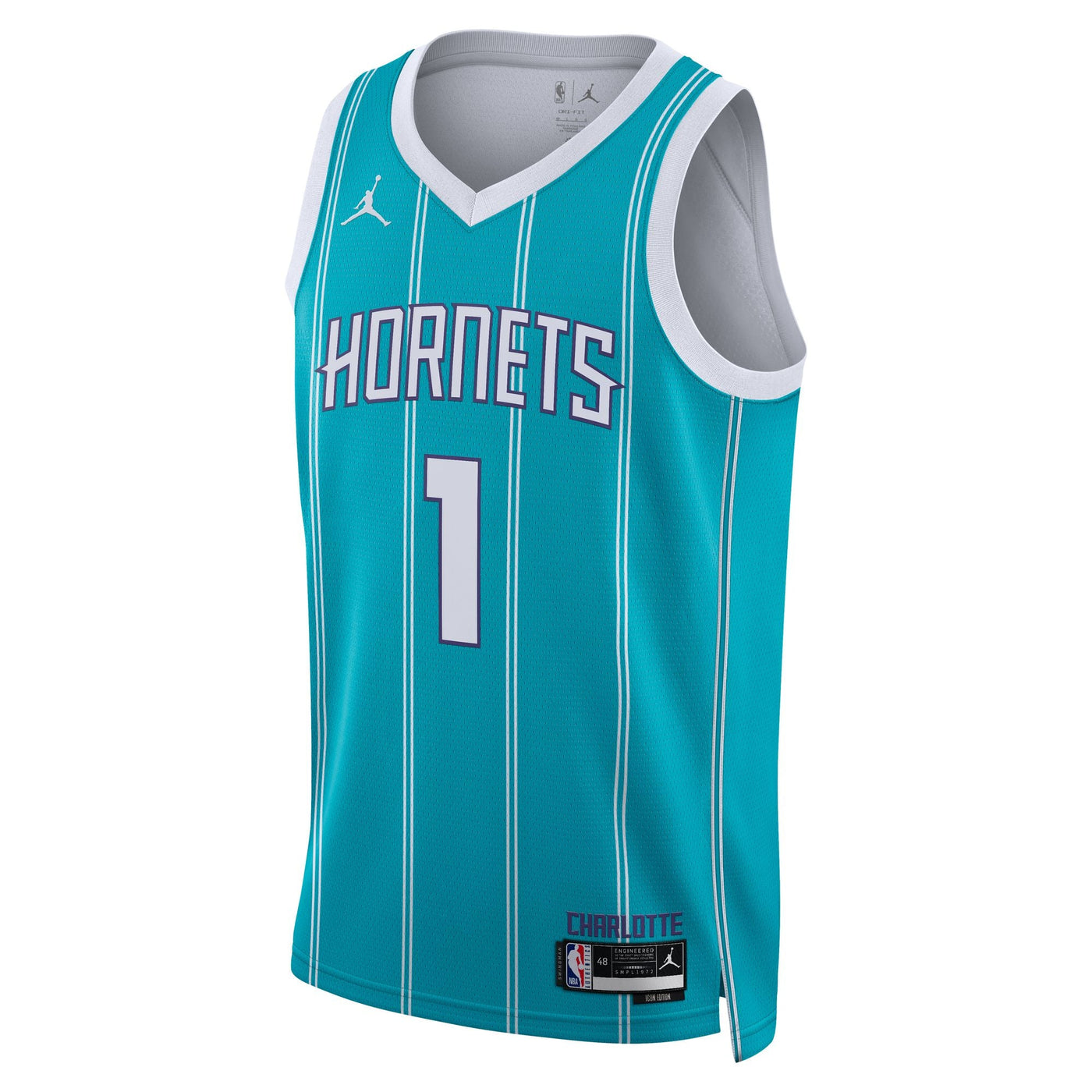 Charlotte Hornets Swingman Icon Jersey