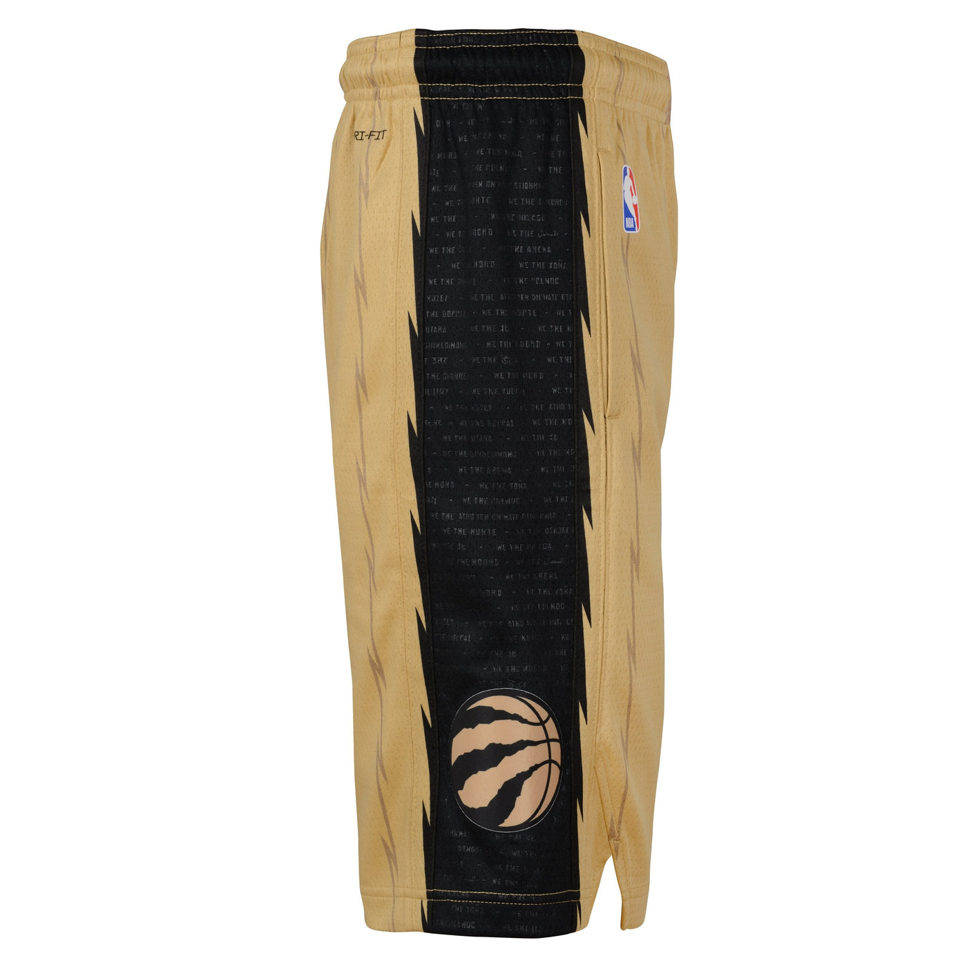Boys Toronto Raptors City Edition Swingman Replica Shorts