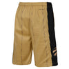 Boys Toronto Raptors City Edition Swingman Replica Shorts