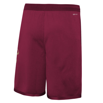 Boys Cleveland Cavaliers Icon Swingman Replica Shorts